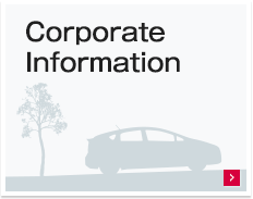 Corporate Information